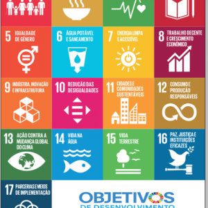 Objetivos de Desenvolvimento Sustentável da ONU até o ano de 2030. Agenda 2030 ODS-ONU.